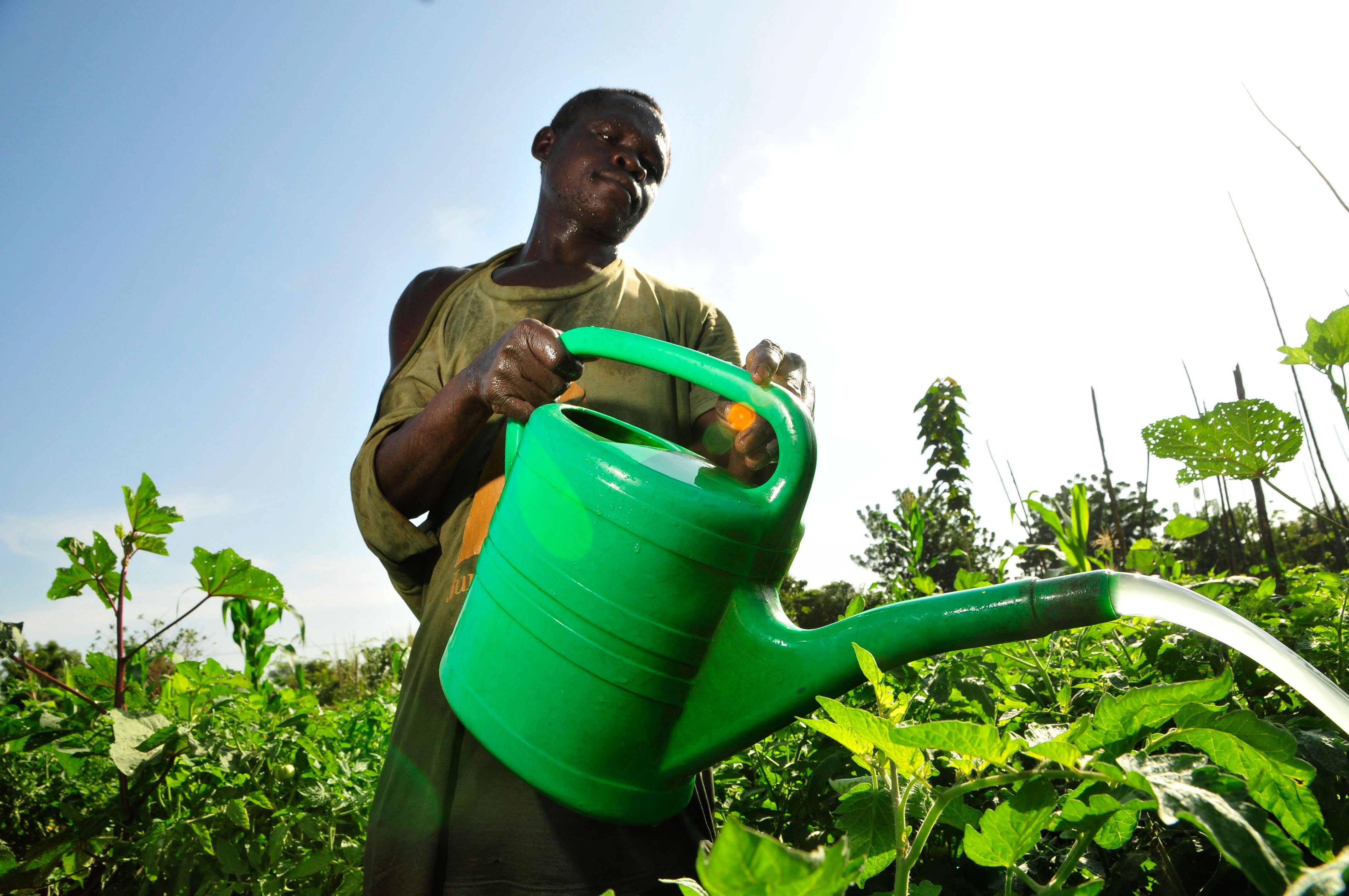 Agriculture
